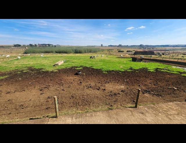FARM FOR SALE IN WITFONTEIN